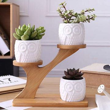 Owl Succulent Pots & Bamboo Shelf